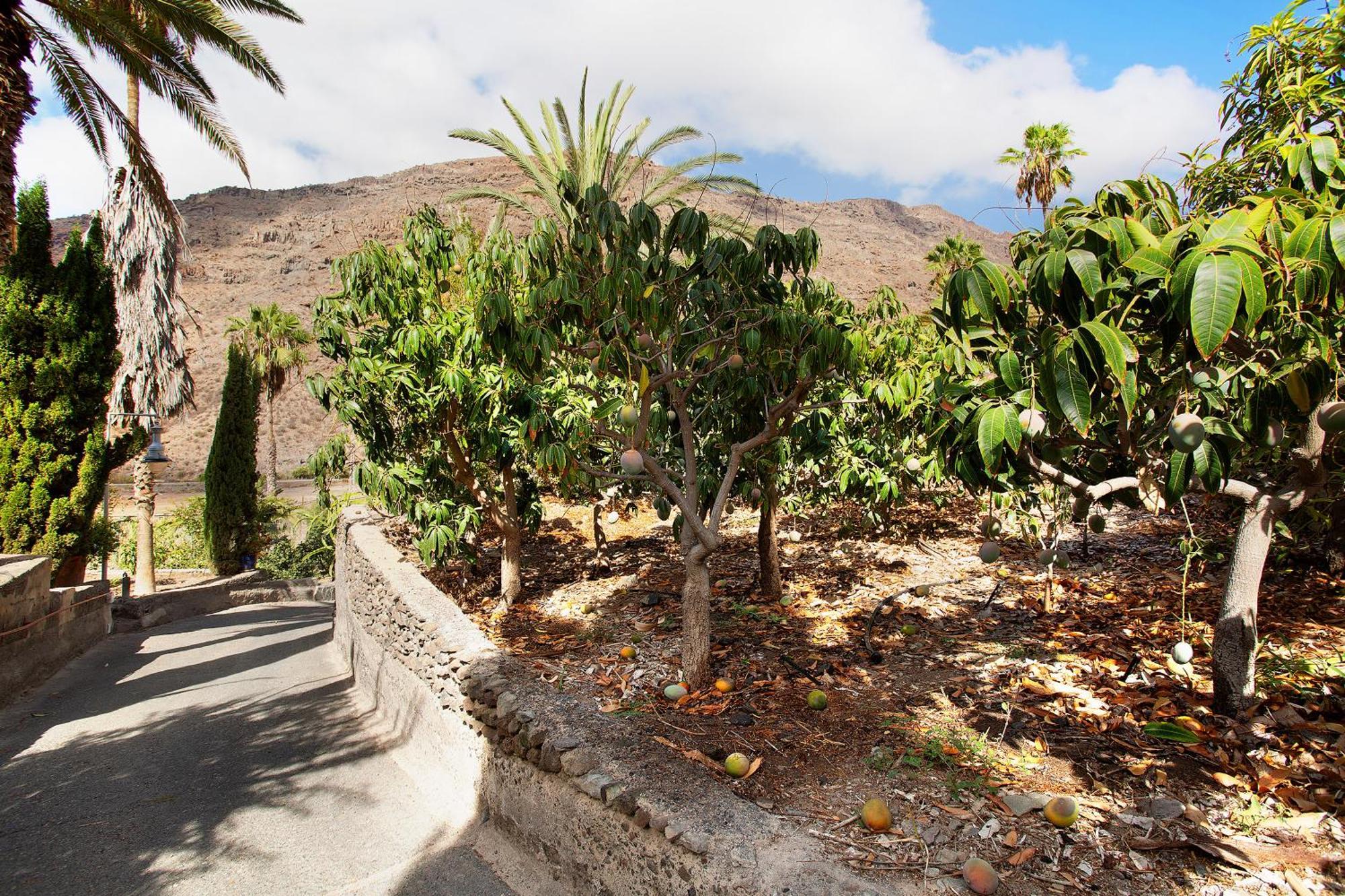Paraiso Del Molinero Bajo Mogan Exterior photo